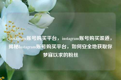 instagram账号购买平台，instagram账号购买渠道，揭秘Instagram账号购买平台，如何安全地获取你梦寐以求的粉丝