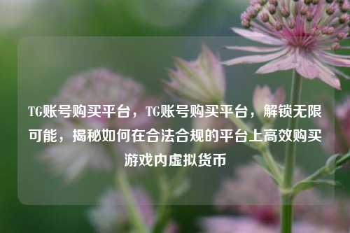 TG账号购买平台，TG账号购买平台，解锁无限可能，揭秘如何在合法合规的平台上高效购买游戏内虚拟货币