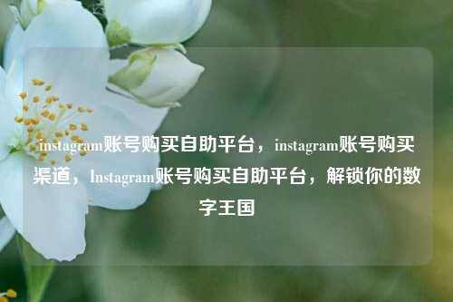instagram账号购买自助平台	，instagram账号购买渠道，Instagram账号购买自助平台，解锁你的数字王国  第1张