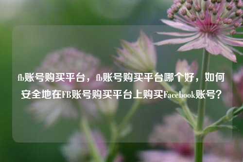 fb账号购买平台，fb账号购买平台哪个好，如何安全地在FB账号购买平台上购买Facebook账号？