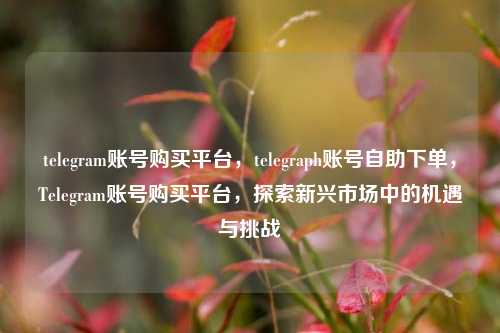 telegram账号购买平台，telegraph账号自助下单，Telegram账号购买平台，探索新兴市场中的机遇与挑战