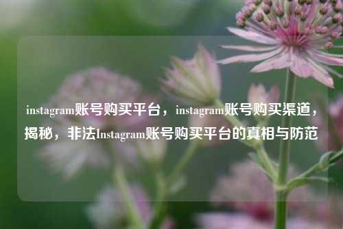 instagram账号购买平台，instagram账号购买渠道，揭秘，非法Instagram账号购买平台的真相与防范