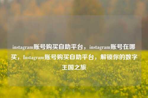 instagram账号购买自助平台，instagram账号在哪买，Instagram账号购买自助平台，解锁你的数字王国之旅