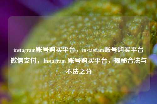 instagram账号购买平台，instagram账号购买平台微信支付，Instagram 账号购买平台，揭秘合法与不法之分