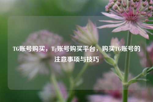 TG账号购买，Tg账号购买平台，购买TG账号的注意事项与技巧
