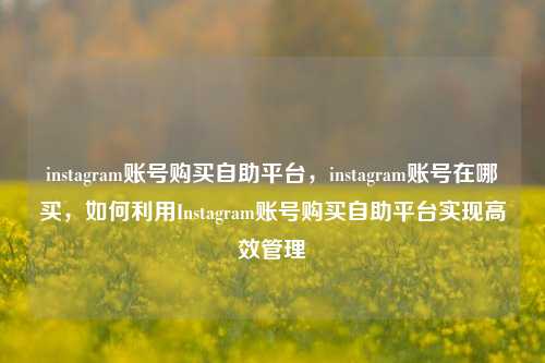 instagram账号购买自助平台，instagram账号在哪买，如何利用Instagram账号购买自助平台实现高效管理
