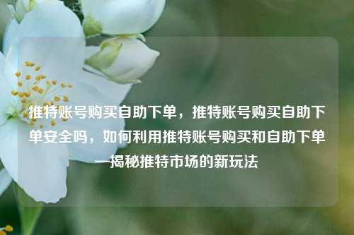 推特账号购买自助下单，推特账号购买自助下单安全吗，如何利用推特账号购买和自助下单—揭秘推特市场的新玩法
