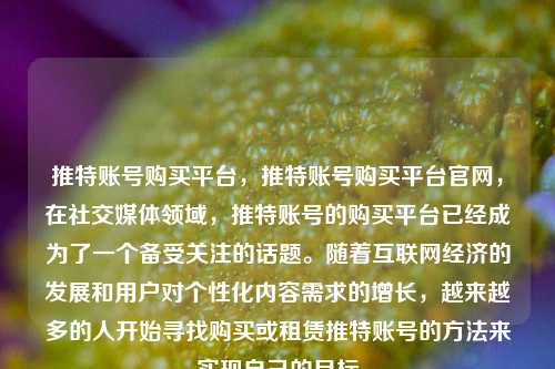 推特账号购买平台，推特账号购买平台官网，在社交媒体领域，推特账号的购买平台已经成为了一个备受关注的话题。随着互联网经济的发展和用户对个性化内容需求的增长，越来越多的人开始寻找购买或租赁推特账号的方法来实现自己的目标