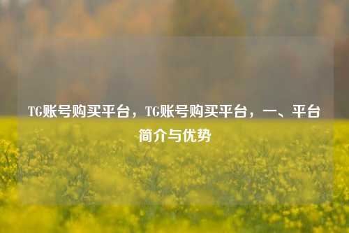 TG账号购买平台，TG账号购买平台，一、平台简介与优势