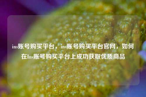ins账号购买平台，ins账号购买平台官网，如何在Ins账号购买平台上成功获取优质商品