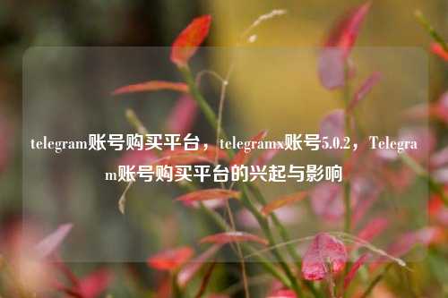 telegram账号购买平台，telegramx账号5.0.2，Telegram账号购买平台的兴起与影响