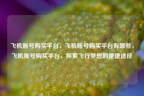 飞机账号购买平台，飞机账号购买平台有哪些，飞机账号购买平台，探索飞行梦想的便捷途径