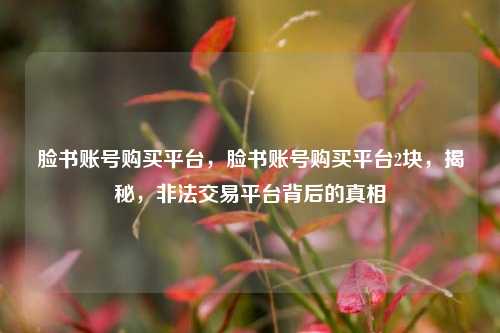 脸书账号购买平台，脸书账号购买平台2块，揭秘，非法交易平台背后的真相