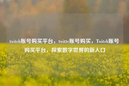 twitch账号购买平台，twitte账号购买，Twitch账号购买平台，探索数字世界的新入口