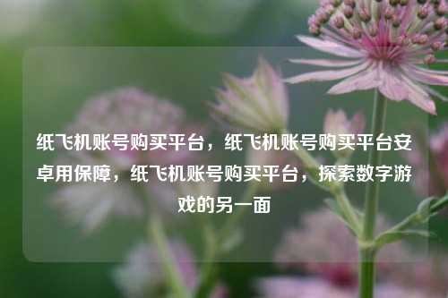 纸飞机账号购买平台，纸飞机账号购买平台安卓用保障，纸飞机账号购买平台，探索数字游戏的另一面
