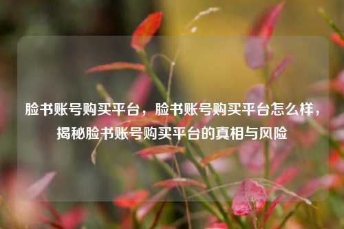 脸书账号购买平台，脸书账号购买平台怎么样，揭秘脸书账号购买平台的真相与风险