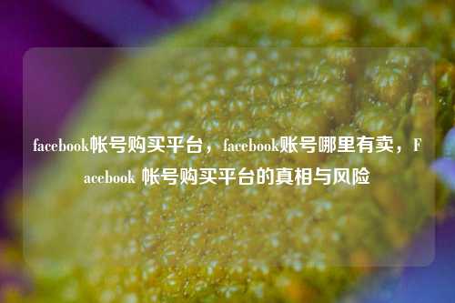facebook帐号购买平台，facebook账号哪里有卖，Facebook 帐号购买平台的真相与风险
