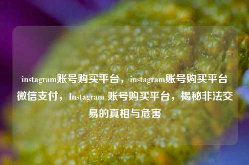 instagram账号购买平台，instagram账号购买平台微信支付，Instagram 账号购买平台，揭秘非法交易的真相与危害