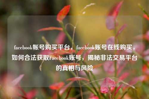 facebook帐号购买平台，facebook账号在线购买，如何合法获取Facebook账号，揭秘非法交易平台的真相与风险
