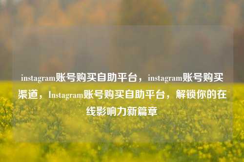 instagram账号购买自助平台，instagram账号购买渠道，Instagram账号购买自助平台，解锁你的在线影响力新篇章