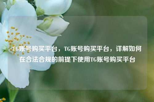 TG账号购买平台，TG账号购买平台，详解如何在合法合规的前提下使用TG账号购买平台
