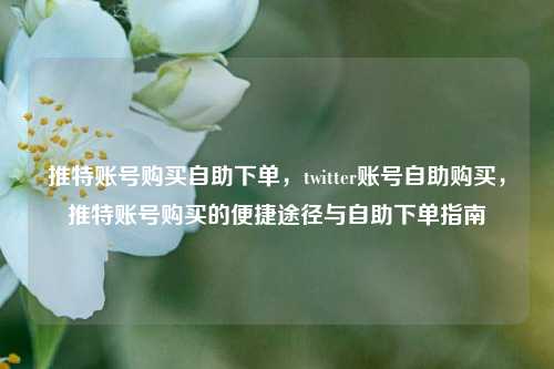 推特账号购买自助下单，twitter账号自助购买，推特账号购买的便捷途径与自助下单指南