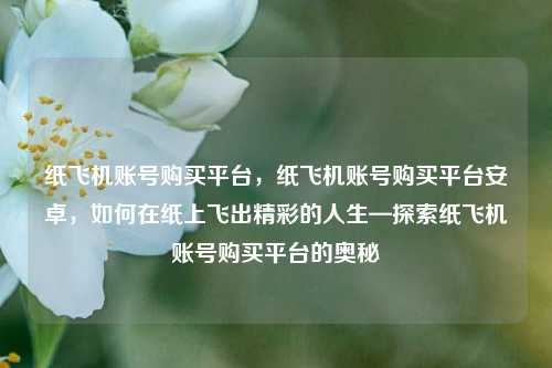 纸飞机账号购买平台，纸飞机账号购买平台安卓，如何在纸上飞出精彩的人生—探索纸飞机账号购买平台的奥秘