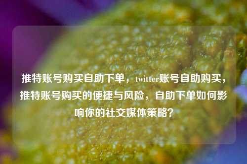 推特账号购买自助下单，twitter账号自助购买，推特账号购买的便捷与风险，自助下单如何影响你的社交媒体策略？