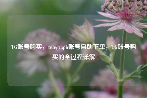 TG账号购买，telegraph账号自助下单，TG账号购买的全过程详解