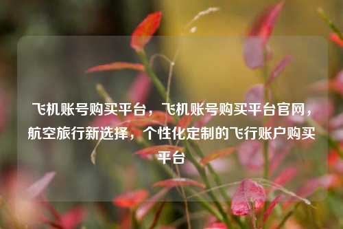 飞机账号购买平台，飞机账号购买平台官网，航空旅行新选择，个性化定制的飞行账户购买平台