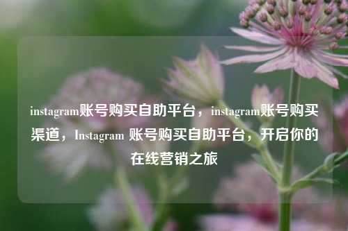 instagram账号购买自助平台，instagram账号购买渠道，Instagram 账号购买自助平台，开启你的在线营销之旅