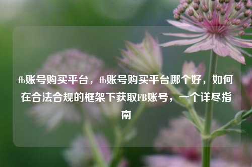 fb账号购买平台，fb账号购买平台哪个好，如何在合法合规的框架下获取FB账号，一个详尽指南