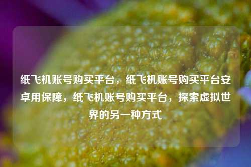 纸飞机账号购买平台，纸飞机账号购买平台安卓用保障，纸飞机账号购买平台，探索虚拟世界的另一种方式