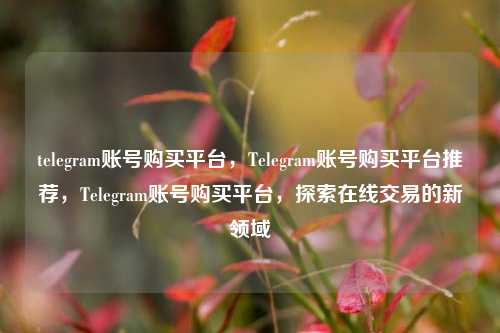 telegram账号购买平台，Telegram账号购买平台推荐，Telegram账号购买平台，探索在线交易的新领域