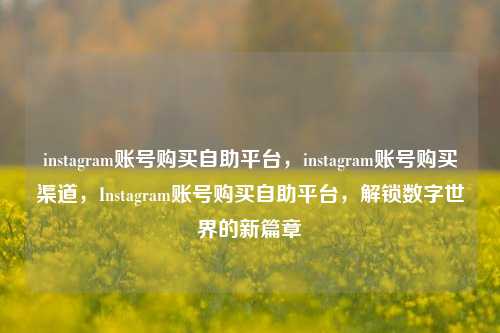 instagram账号购买自助平台，instagram账号购买渠道，Instagram账号购买自助平台，解锁数字世界的新篇章