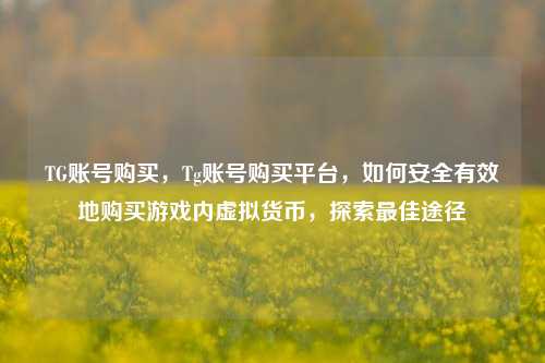 TG账号购买，Tg账号购买平台，如何安全有效地购买游戏内虚拟货币，探索最佳途径