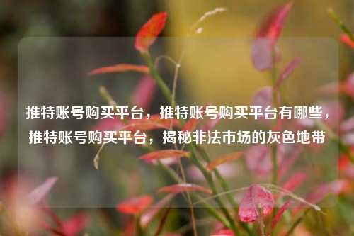 推特账号购买平台，推特账号购买平台有哪些，推特账号购买平台，揭秘非法市场的灰色地带