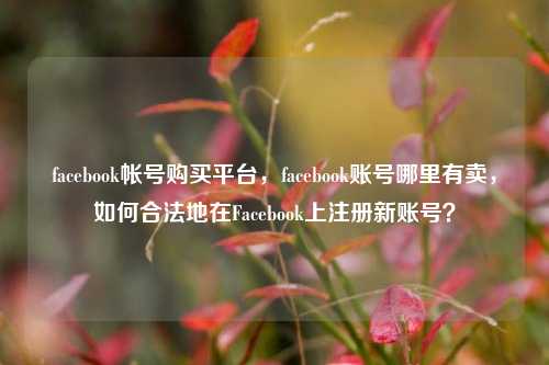 facebook帐号购买平台，facebook账号哪里有卖，如何合法地在Facebook上注册新账号？