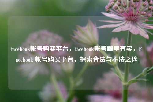 facebook帐号购买平台，facebook账号哪里有卖，Facebook 帐号购买平台，探索合法与不法之途