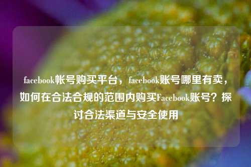 facebook帐号购买平台，facebook账号哪里有卖，如何在合法合规的范围内购买Facebook账号？探讨合法渠道与安全使用