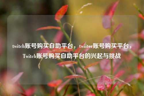 twitch账号购买自助平台，twiiter账号购买平台，Twitch账号购买自助平台的兴起与挑战