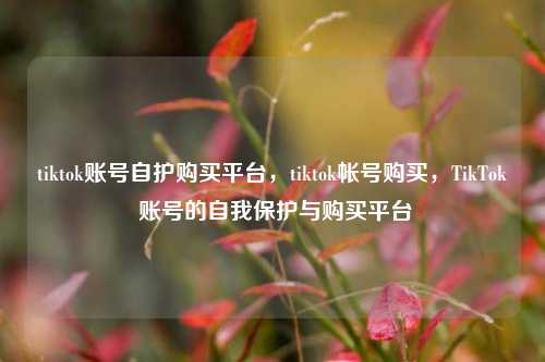 tiktok账号自护购买平台，tiktok帐号购买，TikTok 账号的自我保护与购买平台