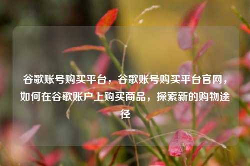 谷歌账号购买平台，谷歌账号购买平台官网，如何在谷歌账户上购买商品，探索新的购物途径