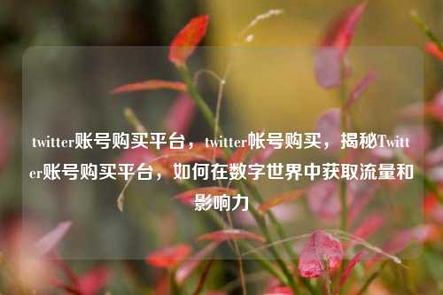 twitter账号购买平台，twitter帐号购买，揭秘Twitter账号购买平台，如何在数字世界中获取流量和影响力