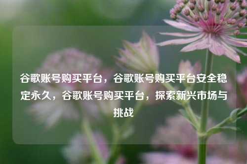 谷歌账号购买平台，谷歌账号购买平台安全稳定永久，谷歌账号购买平台，探索新兴市场与挑战