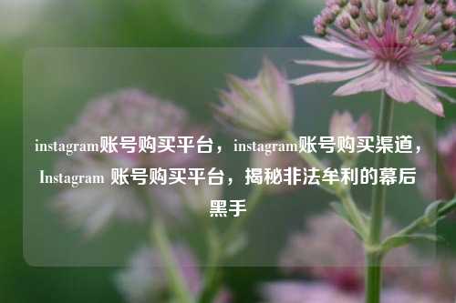 instagram账号购买平台，instagram账号购买渠道，Instagram 账号购买平台，揭秘非法牟利的幕后黑手