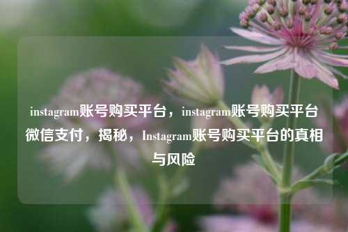 instagram账号购买平台	，instagram账号购买平台微信支付，揭秘，Instagram账号购买平台的真相与风险  第1张
