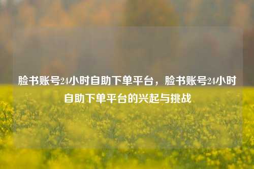 脸书账号24小时自助下单平台，脸书账号24小时自助下单平台的兴起与挑战