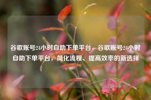 谷歌账号24小时自助下单平台，谷歌账号24小时自助下单平台，简化流程、提高效率的新选择