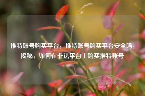 推特账号购买平台，推特账号购买平台安全吗，揭秘，如何在非法平台上购买推特账号